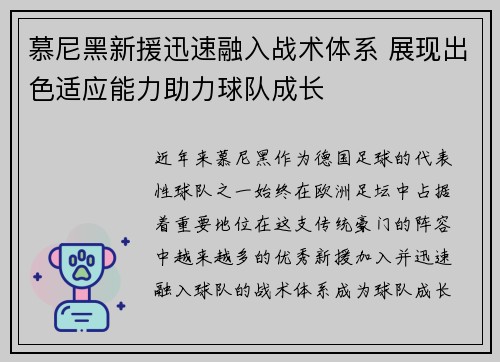 慕尼黑新援迅速融入战术体系 展现出色适应能力助力球队成长