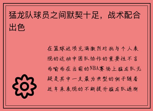 猛龙队球员之间默契十足，战术配合出色