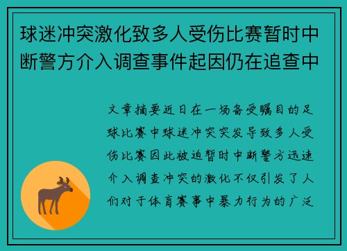 球迷冲突激化致多人受伤比赛暂时中断警方介入调查事件起因仍在追查中