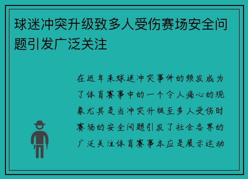球迷冲突升级致多人受伤赛场安全问题引发广泛关注